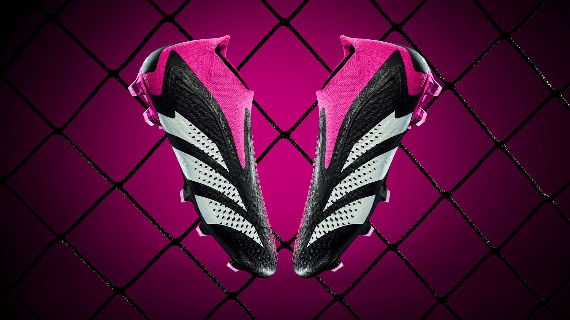 问题的争议 问题的争议